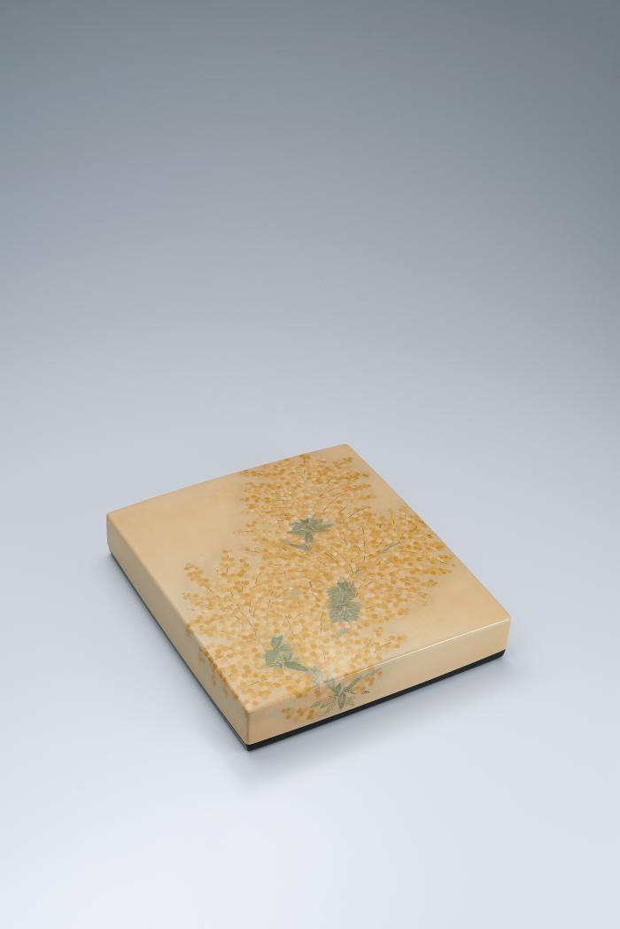 籃胎蒟醬存清色紙箱「銀葉アカシヤ」