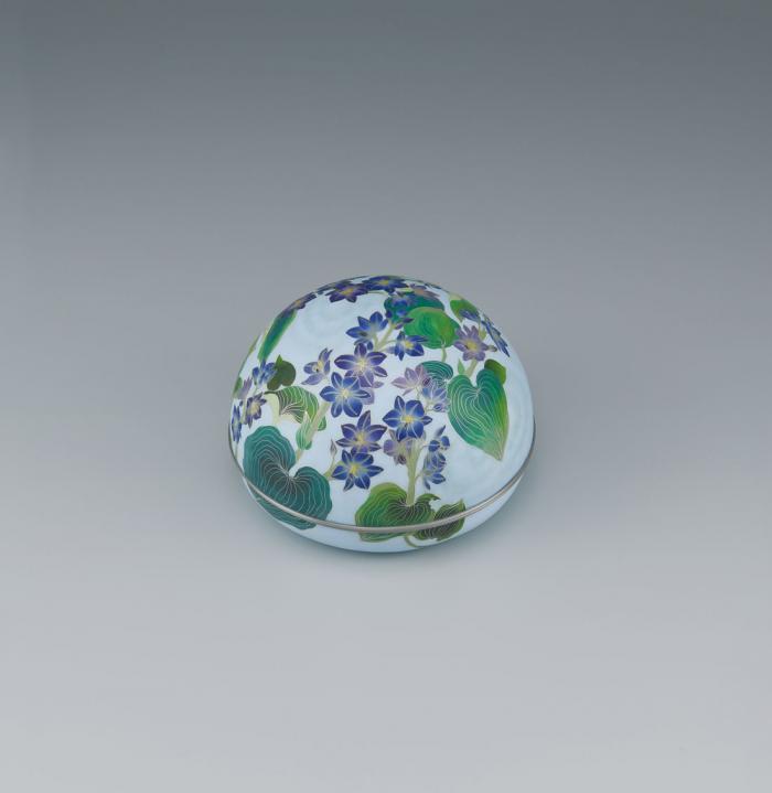 有線七宝合子「水葵」